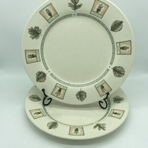 Portfolio Pfaltzgraff Naturewood Dinner Plates 11" Set Of 2 Vintage Stoneware